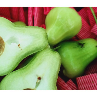 Cây giống mận xanh tam hoa