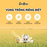 COMBO 10 HỘP GẠO ĂN DẶM ST25 HỮU CƠ DELI BEBÉ CHO BÉ TỪ 6 THÁNG TUỔI, GÓI NHỎ TIỆN LỢI, HỘP 300GR — ảnh 6
