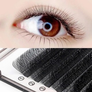 MI KHAY CỎ 3 LÁ - 4 LÁ - 5 LÁ - 6 LÁ LASHES SUPPLY ĐỘ CONG C-CC-D SỢI MI ĐEN MỀM,DỄ TÁCH FAN,SỢI MỀM