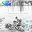 NƯỚC GIẶT VỀ LÀNG • SiBE VỀ NHÀ