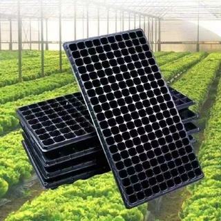 Khay ươm hạt giống PVC 100gram, 50 lỗ, độ bền cao, thiết kế tiện lợi