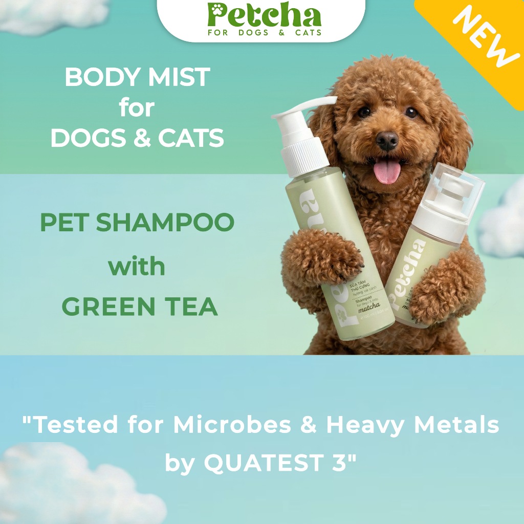Combo Sữa Tắm + Xịt Khử Mùi Cho Chó Mèo | PETCHA - Làm Sạch Lông Thú Cưng, Khử Mùi Hiệu Quả, Dịu Nhẹ An Toàn, Giữ Lôn