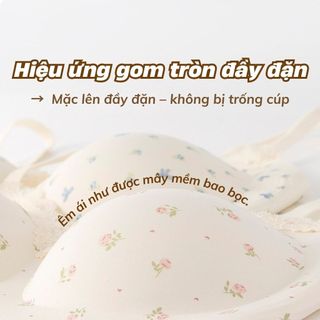 Áo ngực nữ su đúc cao cấp viền ren kiểu Pháp xinh xắn sang trọng đệm mút nâng đỡ tròn đầy sexy A1846