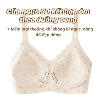 Áo ngực nữ su đúc cao cấp viền ren kiểu Pháp xinh xắn sang trọng đệm mút nâng đỡ tròn đầy sexy A1846