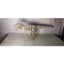 Bộ đồ chơi ghép hình thông minh 3D gỗ - Khủng long Toy