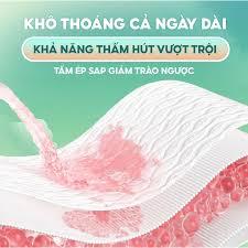Băng vệ sinh hàng ngày top gia