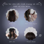 Chính hãng Nhật Bản / Amaze Plus strainia JAPAN Point Straight Brush Gửi hàng trực tiếp từ Nhật Bản Mã sản phẩm: 779 — ảnh 4