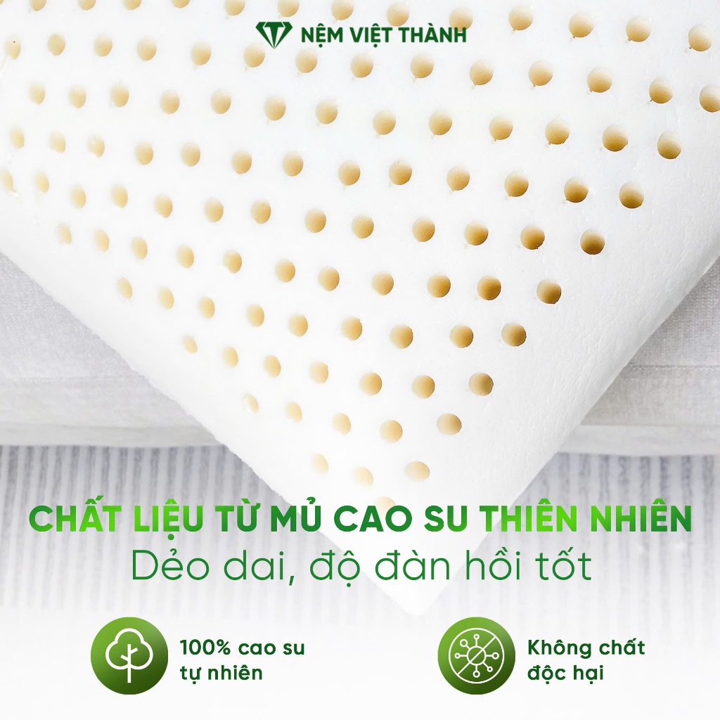 [Combo Khuyến Mãi] Gối Nằm Cao Su Thiên Nhiên OVAL Việt Thành Cao Cấp, Thoáng Khí, Nâng Đỡ, Bảo Vệ Sức Khoẻ Người Nằm.