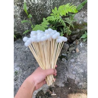 bông ngoáy tai lông vịt giá sỉ - sản phẩm chất lượng