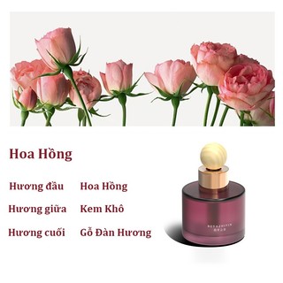 Nước hoa ô tô cao cấp, 3 mùi hương, chống say xe, khử mùi, hương thơm xe hơi.