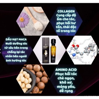 Tinh Dầu Dưỡng Tóc COCOESL Amber 60ml Hương Nước Hoa | Mềm Mượt, Phục Hồi, Ngăn Chẻ Ngọn, Không Bết