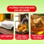 Trà Đinh Lăng giúp hỗ trợ sức khỏe