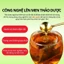 Trà Đinh Lăng giúp hỗ trợ sức khỏe
