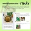 Trà Đinh Lăng giúp hỗ trợ sức khỏe