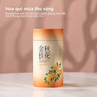 Hộp Vòng Hương 4h 120 Vòng Khử Mùi Hương Thú Cưng Lavender Hoa Quế Mộc Lài Trầm Hương Hương Thơm Lâu Nhà