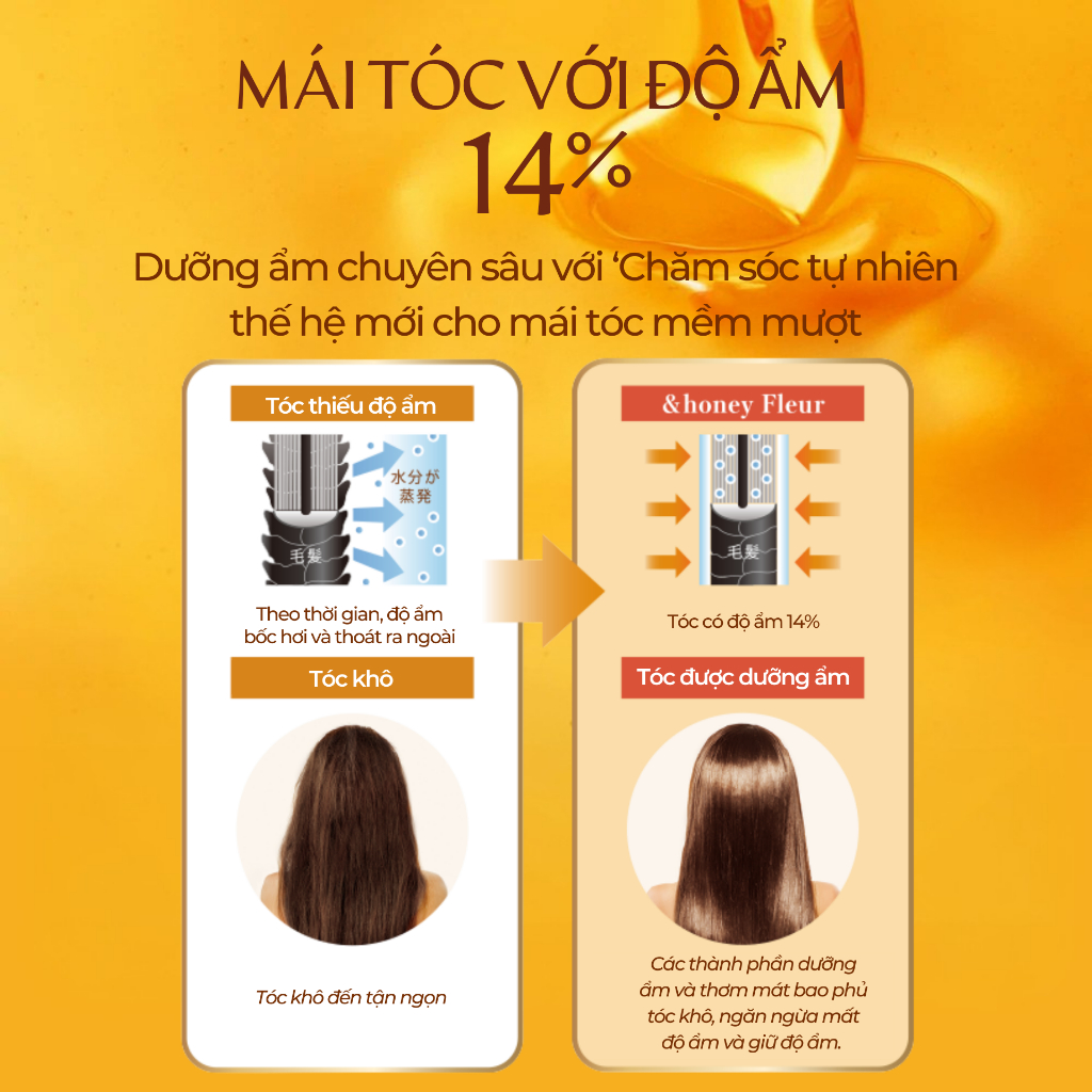 DẦU DƯỠNG TÓC BÓNG MƯỢT &HONEY Moist Shine Hair Oil 3.0