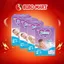 Tã Dán Bobby Lõi Nén Cottton Siêu Thấm Hút Thoáng Khí Dành Cho Bé Sơ Sinh - Bibo Mart