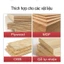 KWS Mũi Phay Rãnh Nông CNC Gỗ Phủ Nano Titanium Cao Cấp – Dao Phay Rãnh Cắt Mịn MDF Plywood