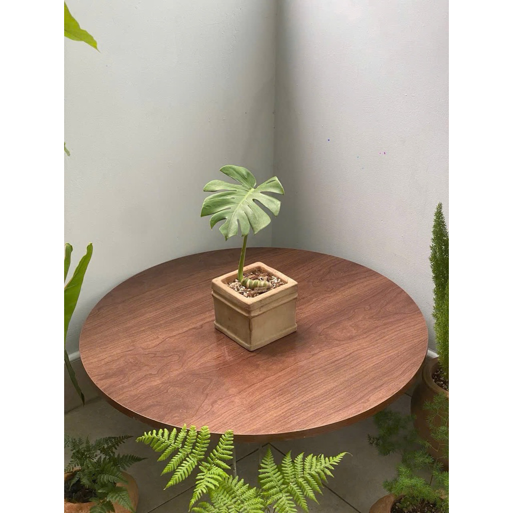 Chậu vuông mini  Đất Nung-TUIBANCHAU