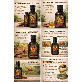 Ketapang Leaf Extract 300ml – Ổn nước, chống stress cho cá cảnh | BaoThora VN