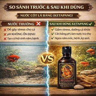 Ketapang Leaf Extract 300ml – Ổn nước, chống stress cho cá cảnh | BaoThora VN