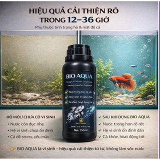 Vi Sinh Hồ Cá BIO AQUA 250ml – Ổn Định Nước Từ Gốc, Làm Trong Nước, Hoạt Động rõ 12–36h