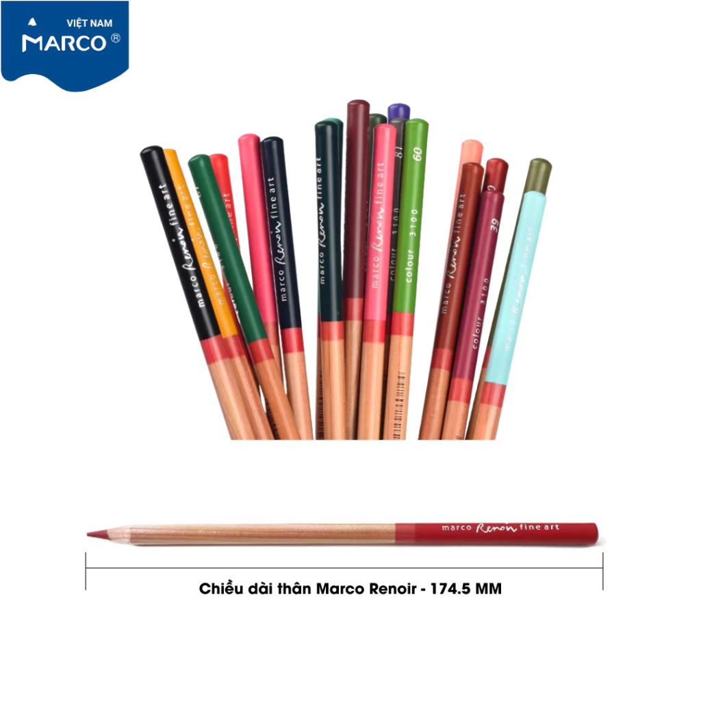[Marco] Chì Màu Khô Gốc Dầu Cao Cấp Marco Renoir 36/48/72/100/120 Màu - Hộp Thiếc Chính Hãng