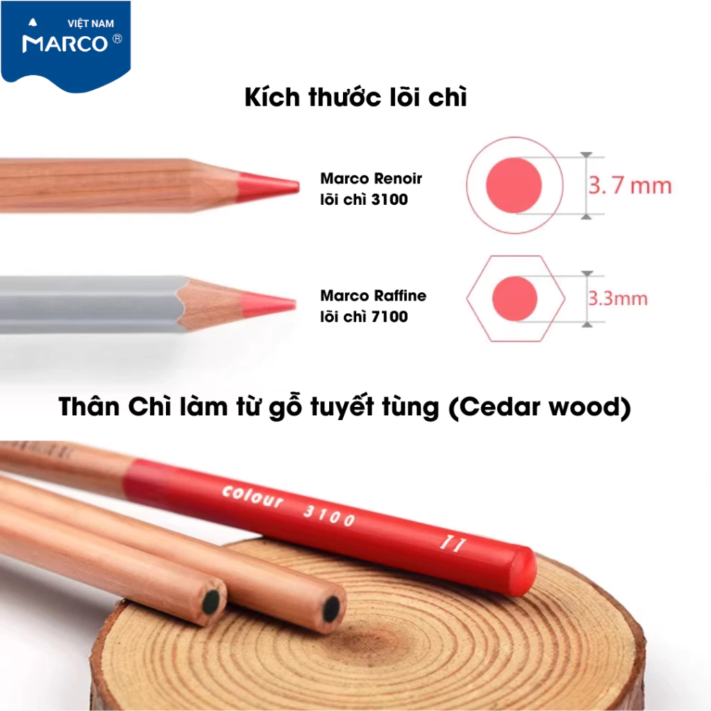 [Marco] Chì Màu Khô Gốc Dầu Cao Cấp Marco Renoir 36/48/72/100/120 Màu - Hộp Thiếc Chính Hãng