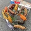 Đồ Chơi Động Vật 58 Chi Tiết ToysLit Mô Hình Thú Rừng (Tặng Kem Hộp) Giúp Bé Gọn Gàng Sau Khi Chơi