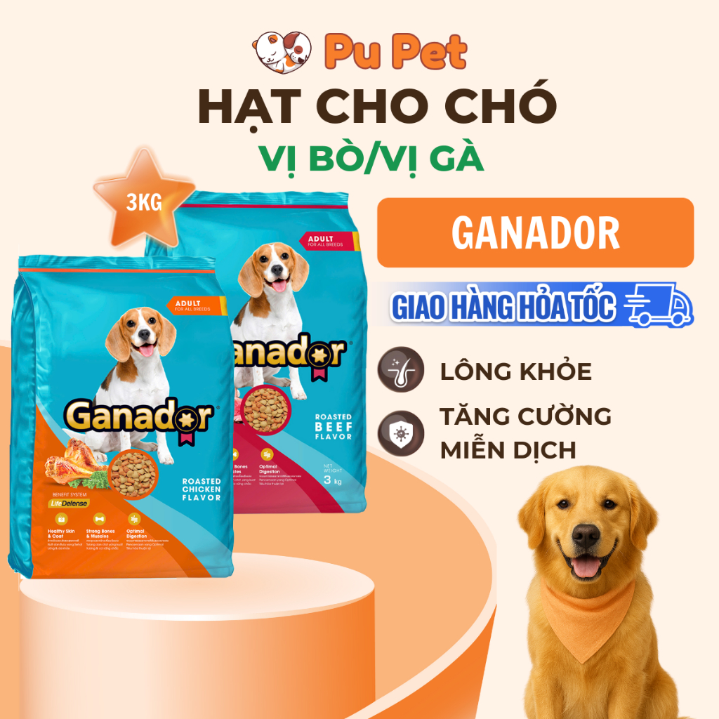 Thức Ăn Hạt Cho Chó Trưởng Thành Ganador Vị Bò Nướng Gói 3kg Hỗ Trợ Xương Chắc Khỏe, Dưỡng Lông
