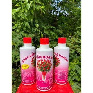 [Loại 1] Combo 2 Chai Nước Dưỡng Hoa Tươi Lâu Đậm Đặc, Khử Thối Gốc, Kích Nở Hoa, GIảm Vi Nấm Lọ Lớn 400ml