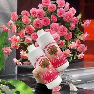 [Loại 1] Combo 2 Chai Nước Dưỡng Hoa Tươi Lâu Đậm Đặc, Khử Thối Gốc, Kích Nở Hoa, GIảm Vi Nấm Lọ Lớn 400ml