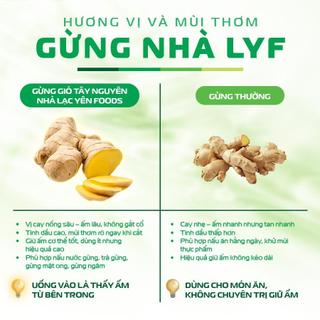 Tắc Gừng Mật Ong Lạc Yên Foods  Có Nhiều Miếng Tắc Gừng Để Ngậm Hỗ Trợ Ấm Họng Tăng Đề Kháng