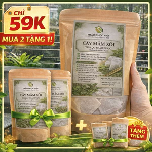 Combo 50 túi lọc to x 3g Mâm Xôi Rừng ( Sao vàng hạ thổ, khô, thơm ) làm dầy niêm mạc, hỗ trợ ivf - iui, bổ trứng, cải t