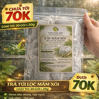 Combo 30 túi lọc to x 20g Mâm Xôi Rừng ( Sao vàng hạ thổ, khô, thơm ) làm dầy niêm mạc, hỗ trợ ivf - iui, bổ trứng