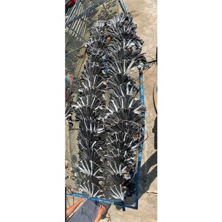 Khô Cá Đuối Hắc Cấy Còn 400g Đóng Gói Hút Chân Không, Đặc Sản Từ Biển