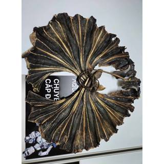 Khô Cá Đuối Hắc Cấy Còn 400g Đóng Gói Hút Chân Không, Đặc Sản Từ Biển