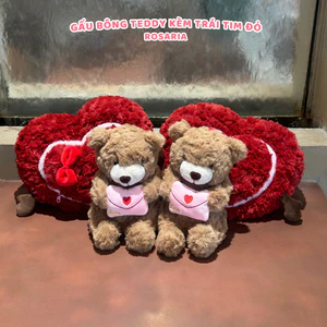 Gấu bông hình Trái tim đỏ kèm Teddy ôm thư cao cấp, Thú bông 2in1 làm quà tặng ý nghĩa