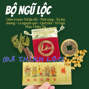 Bộ Ngũ Lộc Chiêu Tài 6 Món – Túi Nhung, Xu, Vàng Thỏi, Tờ Ngũ Phúc, Vỏ Thanh Quế, Chỉ Đỏ Đã Khai Quang