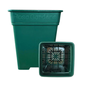 CHẬU VUÔNG TRỒNG HOA HỒNG ROSA GARDEN THÊ TÍCH 20L - MÀU XANH, TRẮNG, NÂU