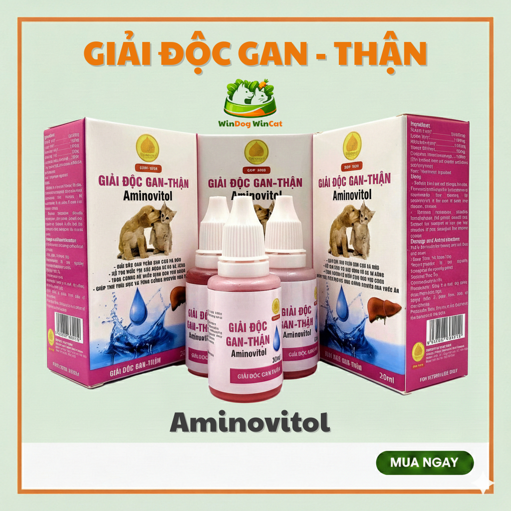 Aminovitol giải độc gan thận cho chó mèo, tăng cường chức năng gan thận 20ml - WinDog WinCat