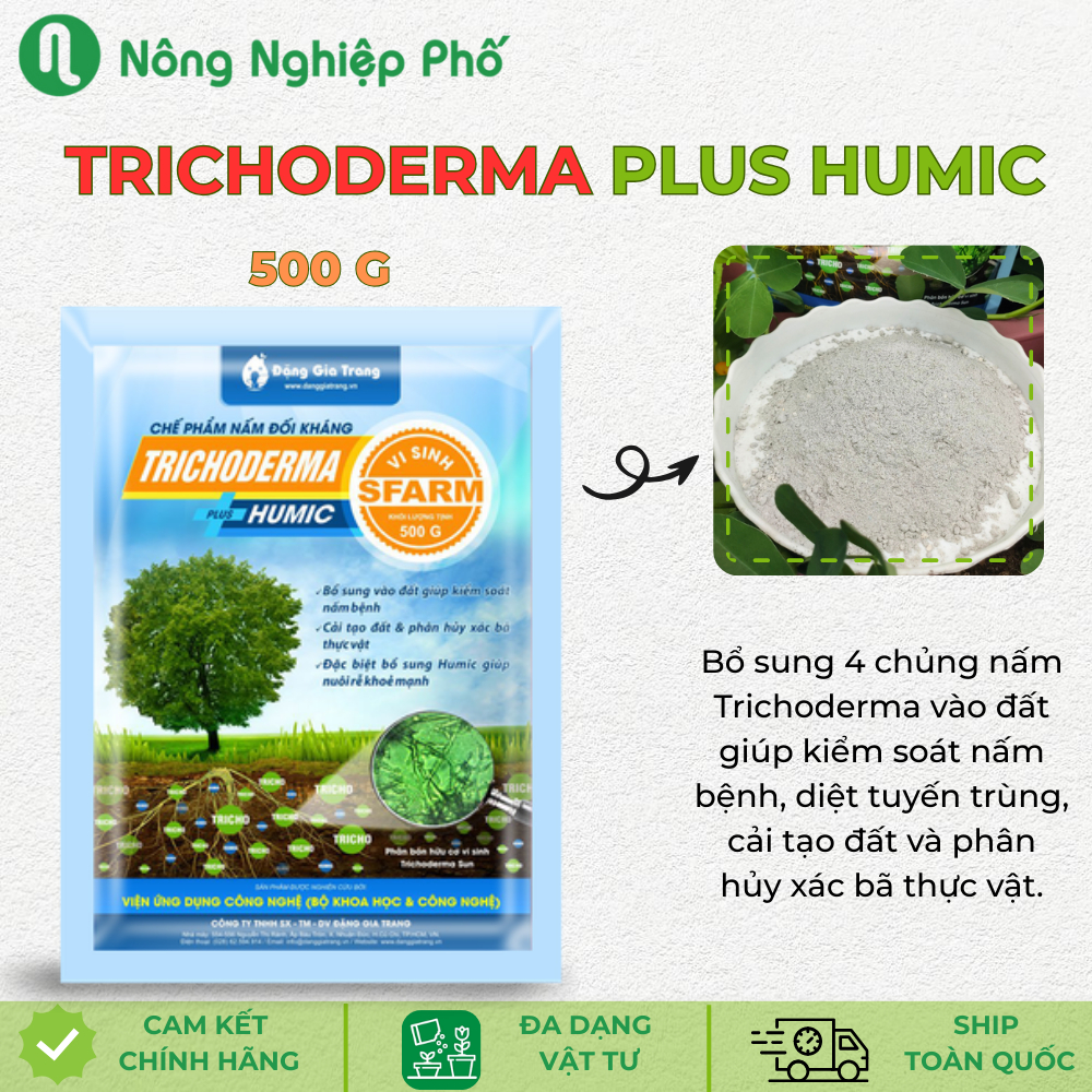 Trichoderma Plus Humic Gói 500 gram - Chế phẩm nấm đối kháng - Có humic ...