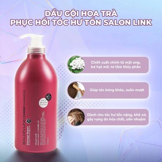 Bộ Dầu Gội, Xả Hoa Trà Phục Hồi Tóc Hư Tổn Salon Link Salonlink Damage & Repair 1000ml Nhật Bản (đỏxnâu)