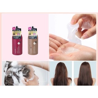 Bộ Dầu Gội, Xả Hoa Trà Phục Hồi Tóc Hư Tổn Salon Link Salonlink Damage & Repair 1000ml Nhật Bản (đỏxnâu)