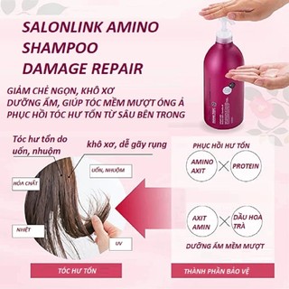 Bộ Dầu Gội, Xả Hoa Trà Phục Hồi Tóc Hư Tổn Salon Link Salonlink Damage & Repair 1000ml Nhật Bản (đỏxnâu)