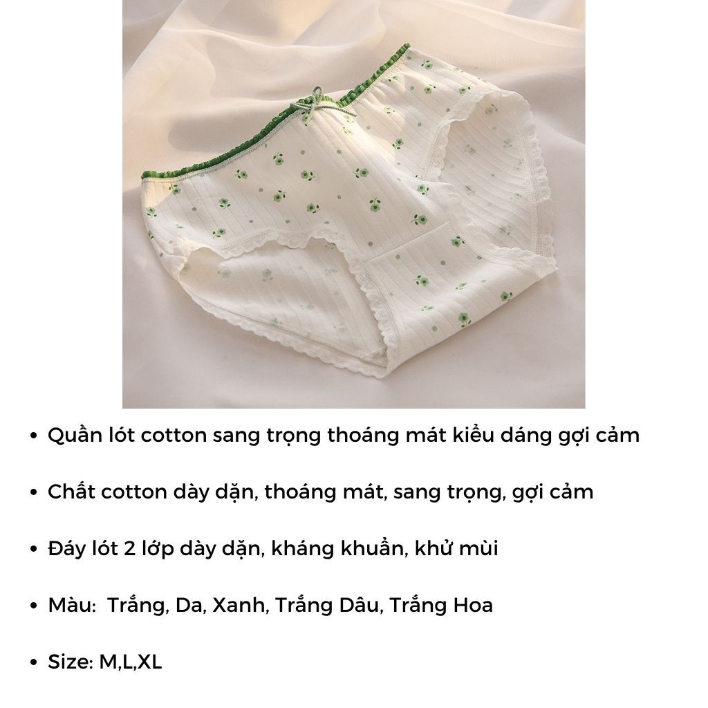 COMBO 5 Quần lót nữ cotton gân tăm đáy lót thoáng khí viền ren họa tiết xinh xắn cute LANIXA CBL311
