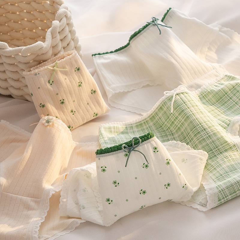 COMBO 5 Quần lót nữ cotton gân tăm đáy lót thoáng khí viền ren họa tiết xinh xắn cute LANIXA CBL311