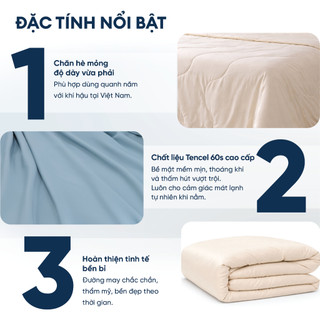 [MỚI 2026] Chăn Chần Gòn Tencel 60s Cao Cấp | Màu Trơn - Pastel Bóng Mịn | Mát Lạnh, Lành Tính, Vải Tencel 100%