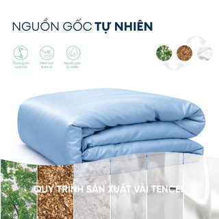 [MỚI 2026] Chăn Chần Gòn Tencel 60s Cao Cấp | Màu Trơn - Pastel Bóng Mịn | Mát Lạnh, Lành Tính, Vải Tencel 100%