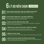 [BH Trọn Đời] Lắc Tay Nam Bạc S925 May Mắn Tránh Vía Dữ LORA Dạng Trơn Gia Công Đeo Vừa Tay Quà Tặng Ý Nghĩa — ảnh 3